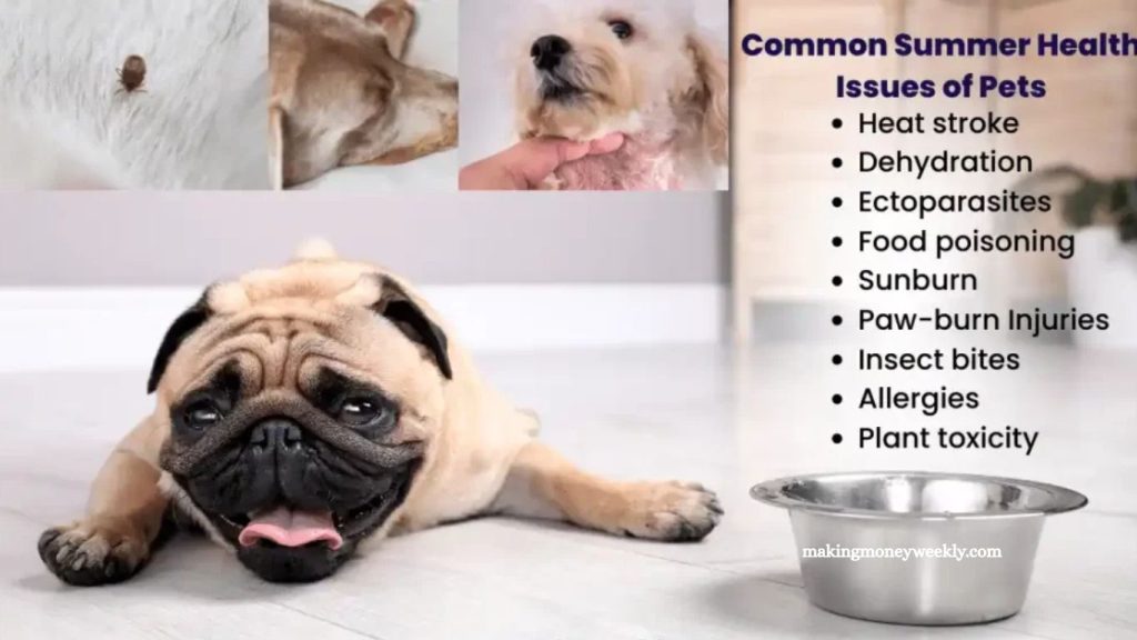 Pet Health Issues