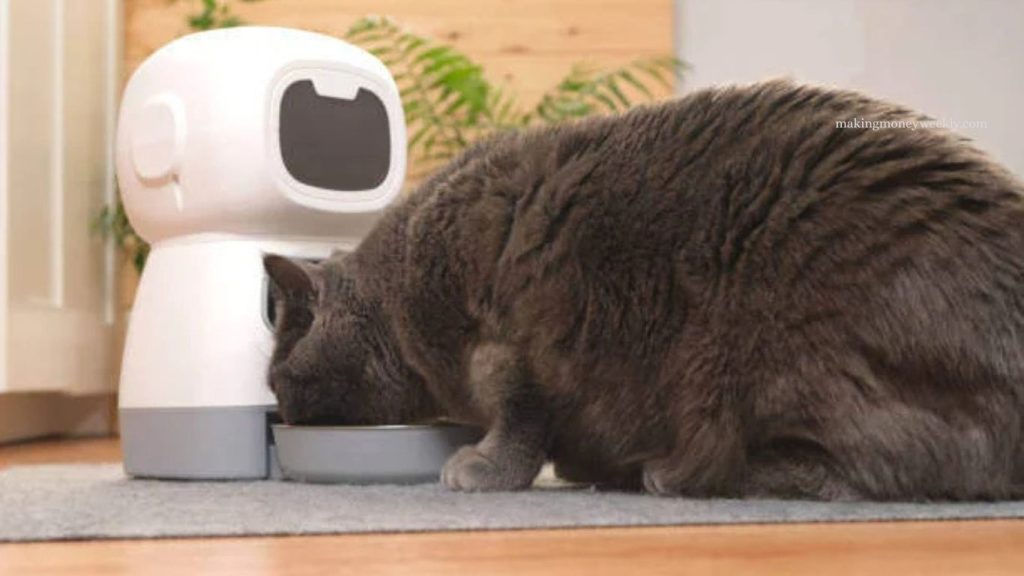 Modern Pet Care