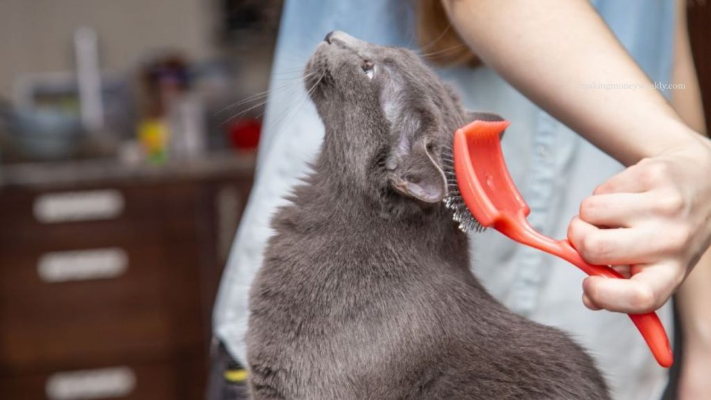 Pet Grooming Tips
